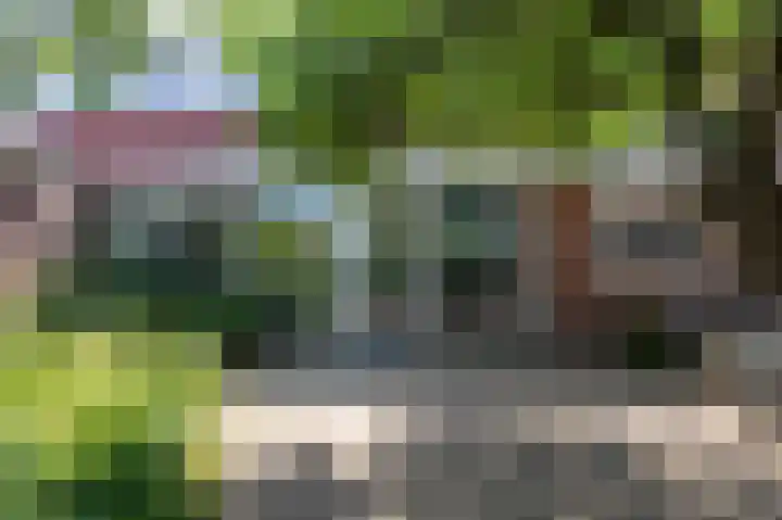 Rijksweg 123 Gaanderen thumbnail 27