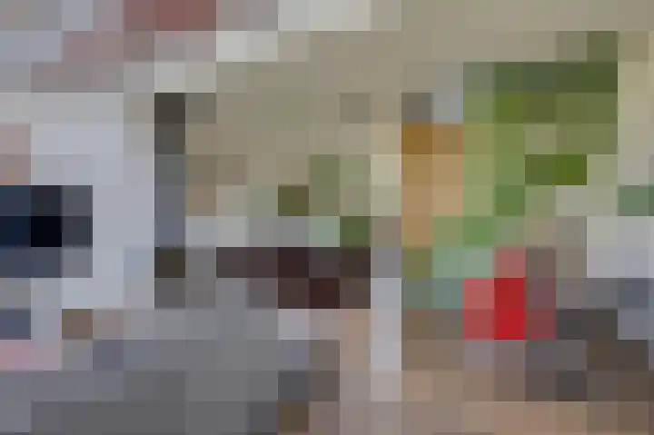 Rijksweg 123 Gaanderen thumbnail 30