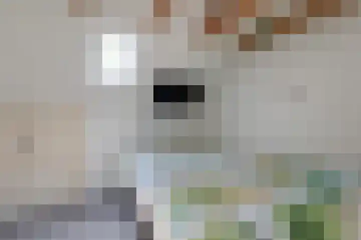 Rijksweg 123 Gaanderen thumbnail 34