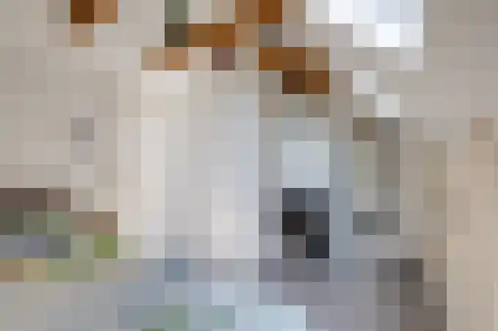Rijksweg 123 Gaanderen thumbnail 36