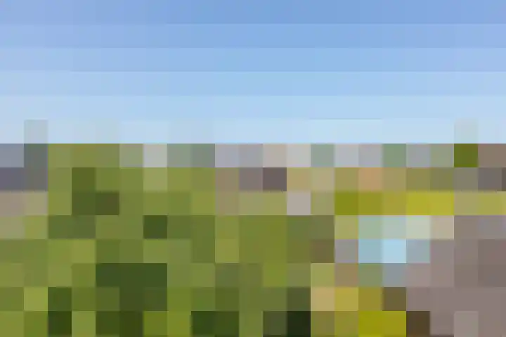 Rijksweg 123 Gaanderen thumbnail 44
