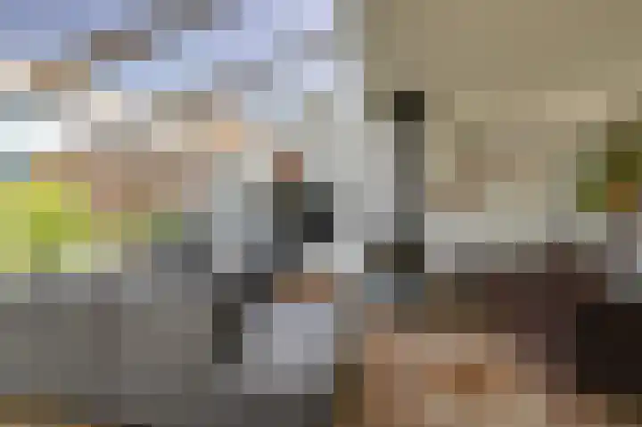 Rijksweg 123 Gaanderen thumbnail 9