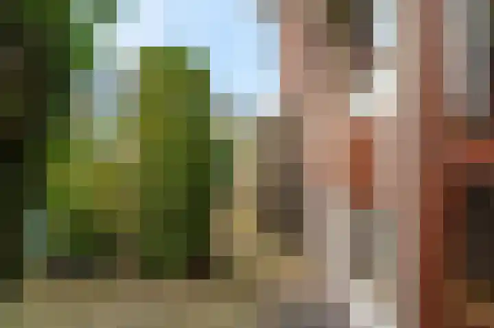 Rijksweg 125 Delfzijl thumbnail 12