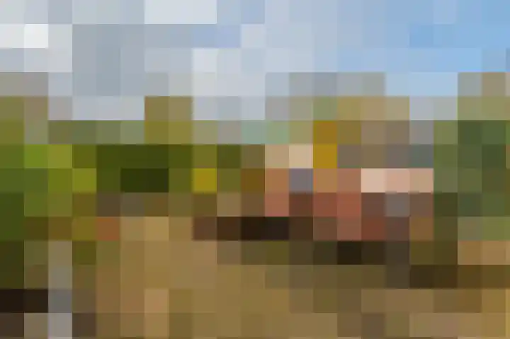 Rijksweg 125 Delfzijl thumbnail 5