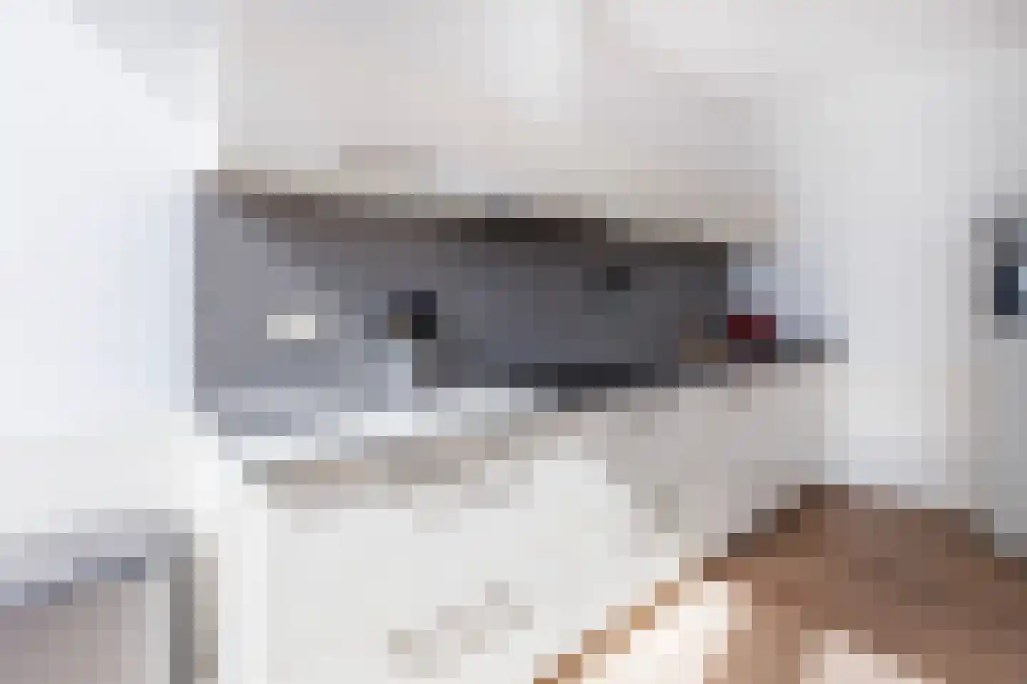 Rijksweg 126 C Gaanderen thumbnail 11