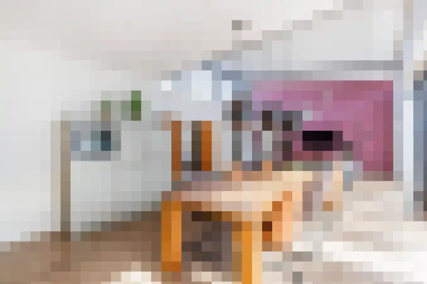 Rijksweg 126 C Gaanderen thumbnail 12