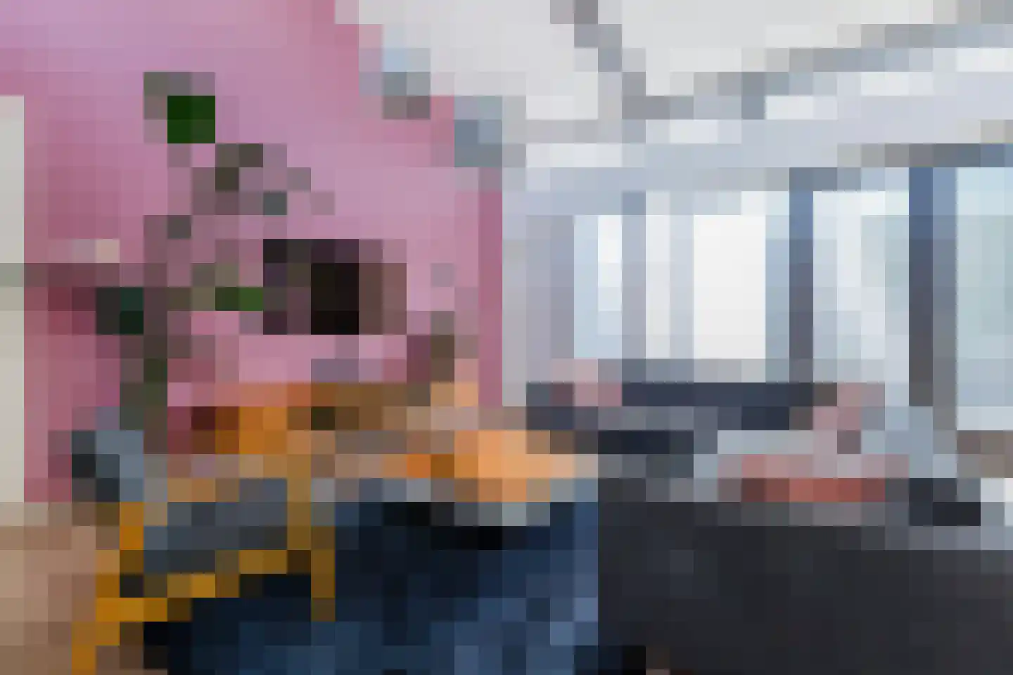 Rijksweg 126 C Gaanderen thumbnail 4