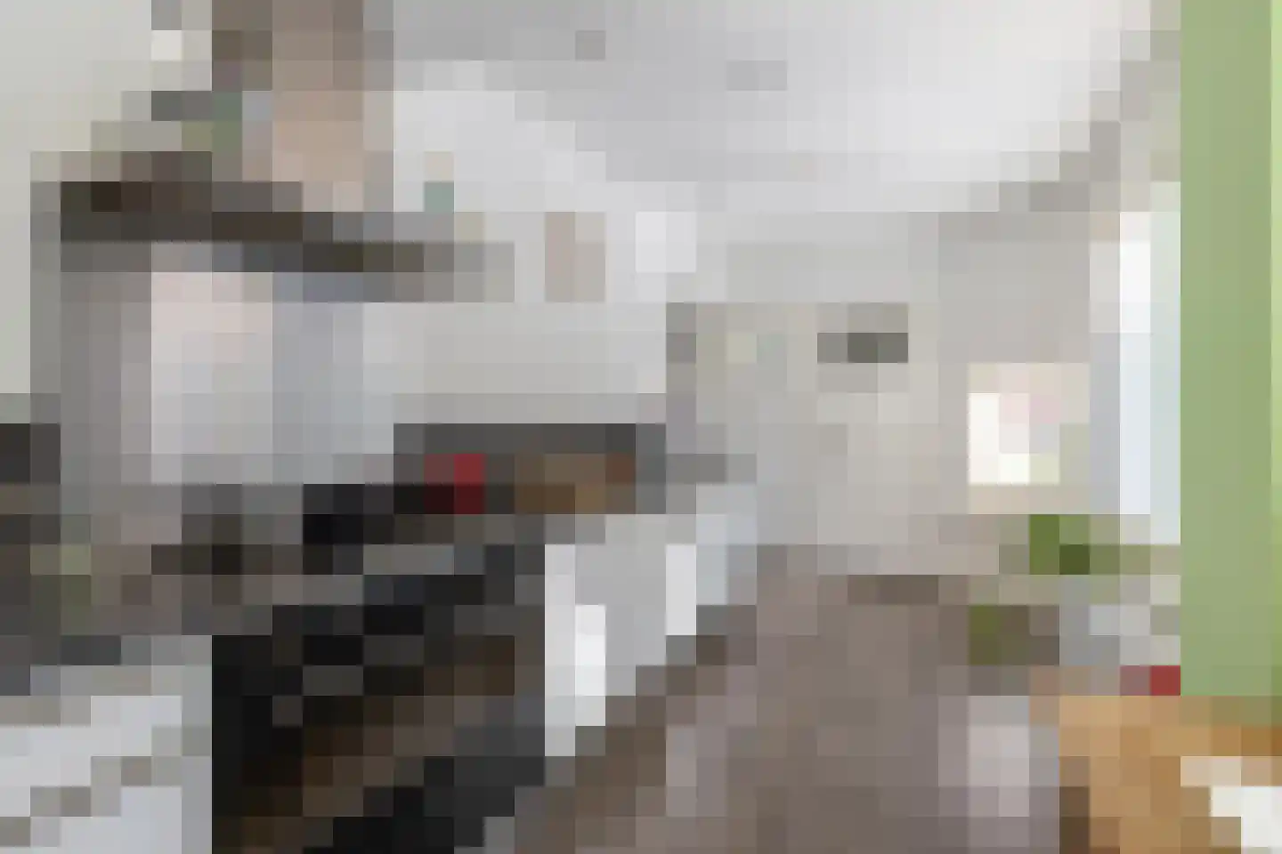Rijksweg 126 Groningen thumbnail 20