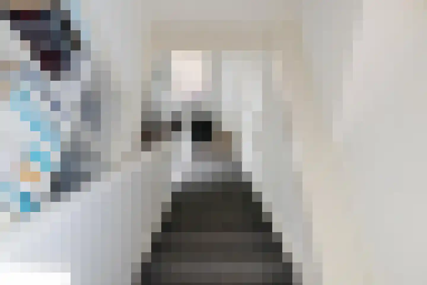 Rijksweg 126 Groningen thumbnail 23