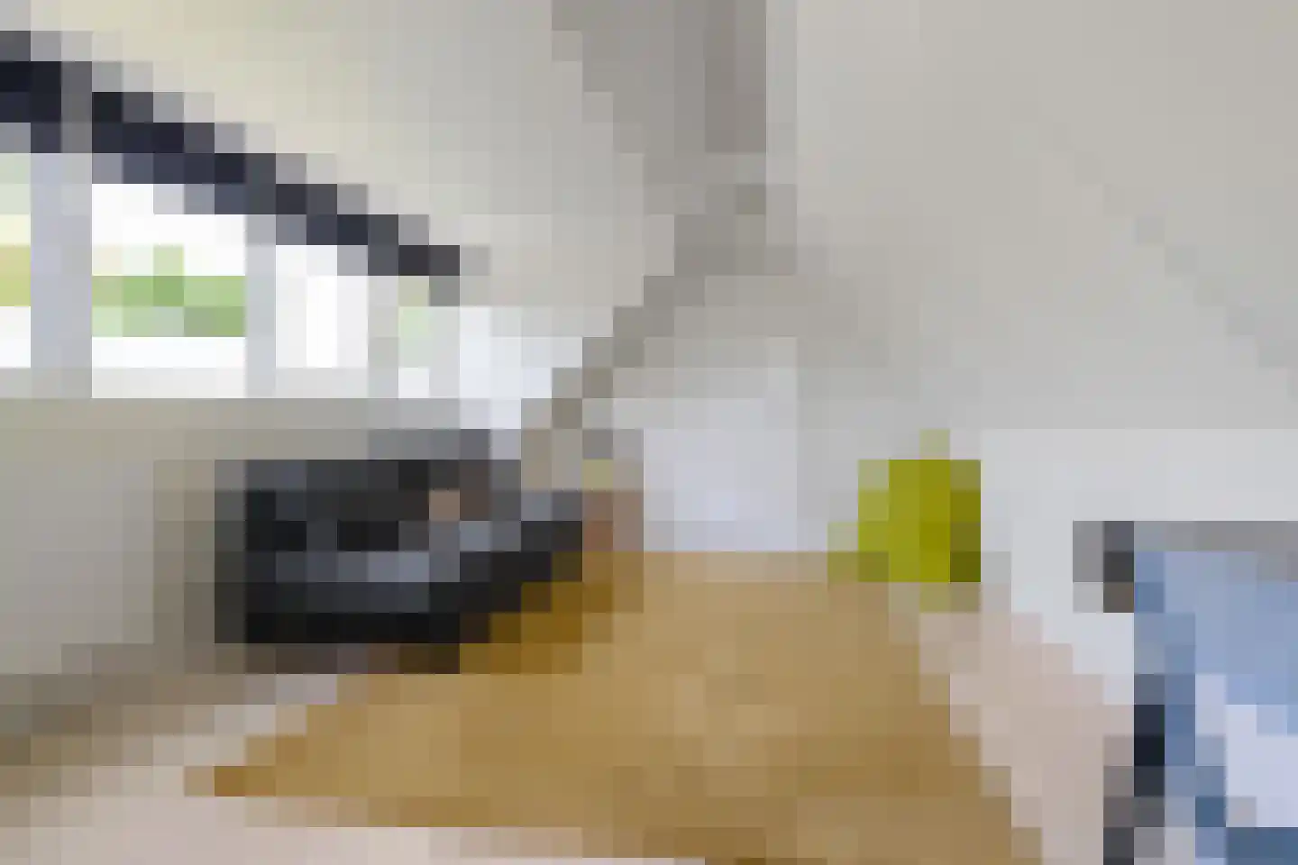 Rijksweg 126 Groningen thumbnail 39