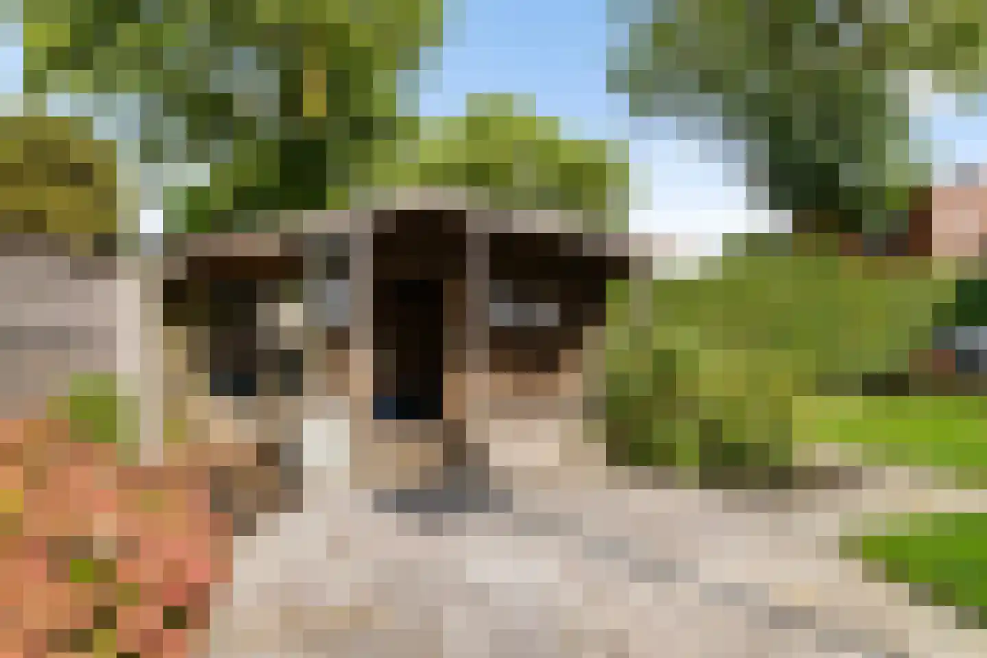 Rijksweg 126 Groningen thumbnail 49