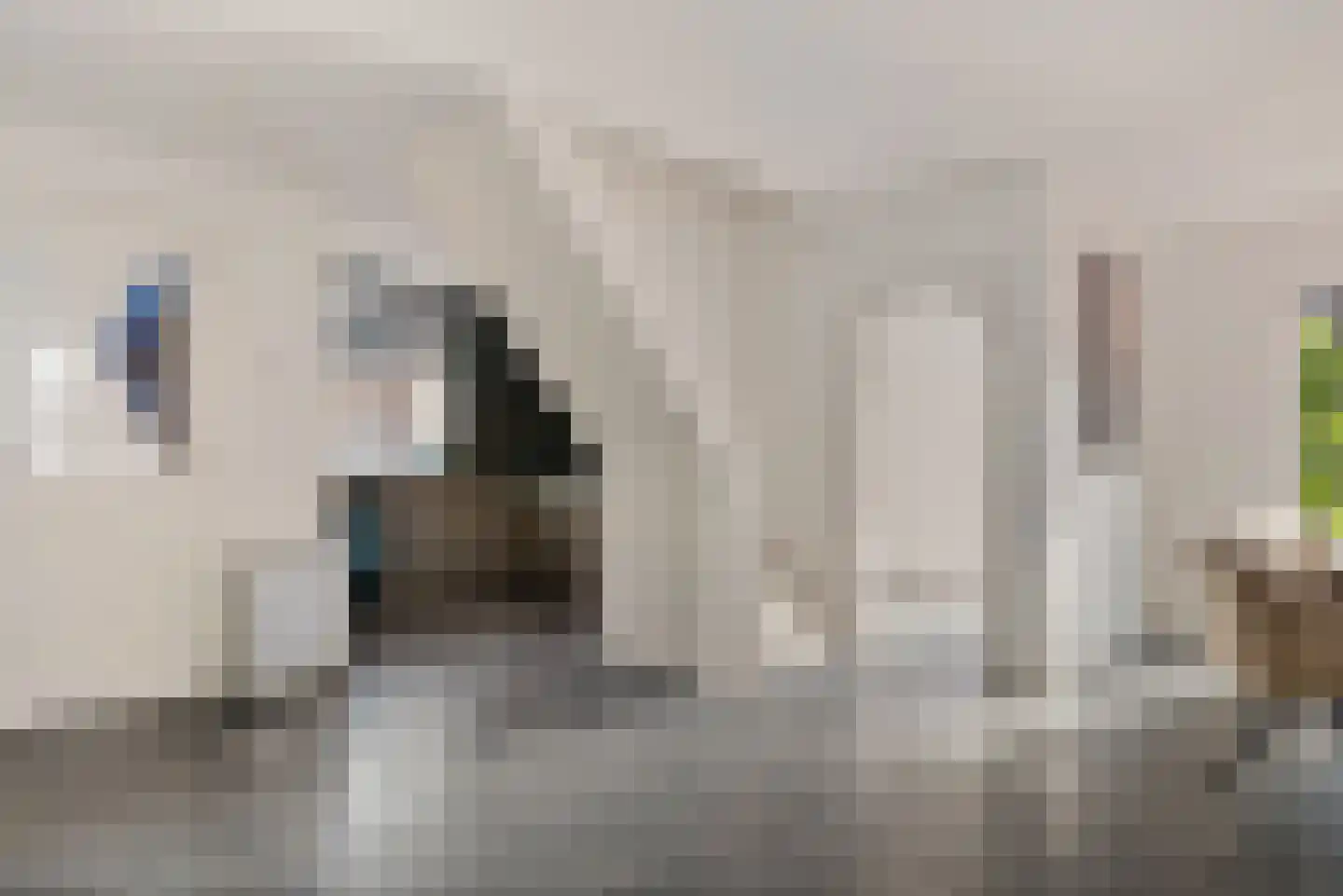 Rijksweg 126 Limmen thumbnail 20