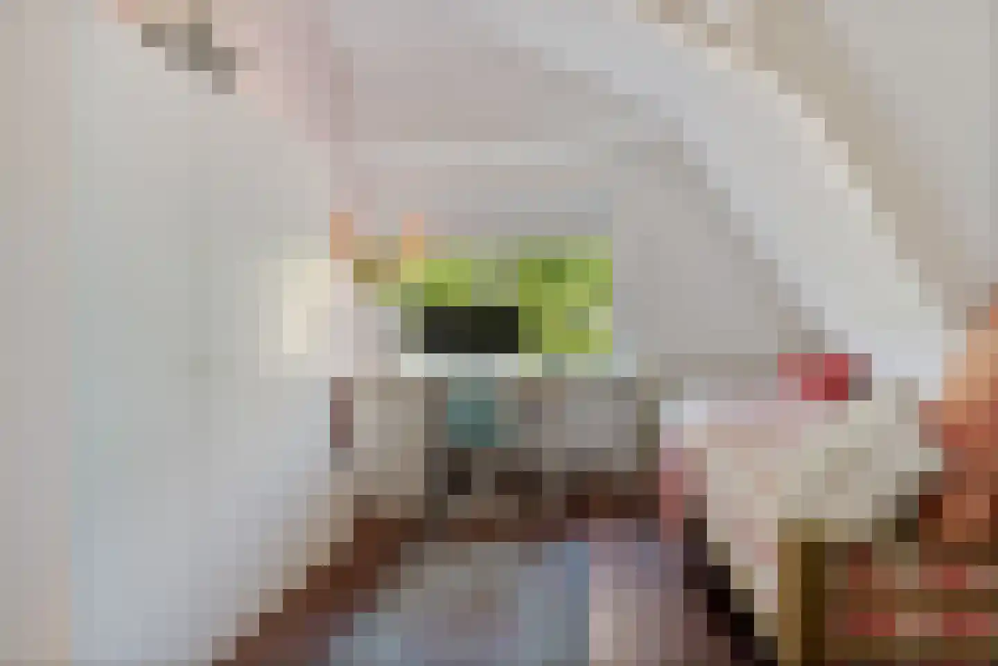 Rijksweg 126 Limmen thumbnail 39