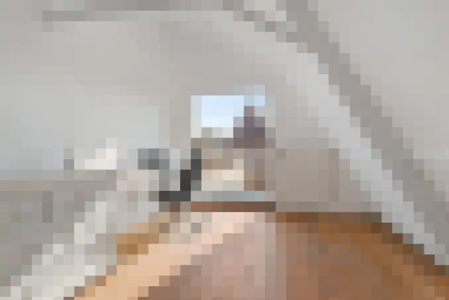 Rijksweg 126 Limmen thumbnail 41