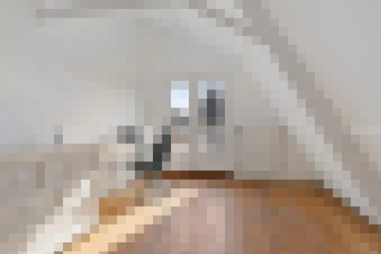 Rijksweg 126 Limmen thumbnail 42