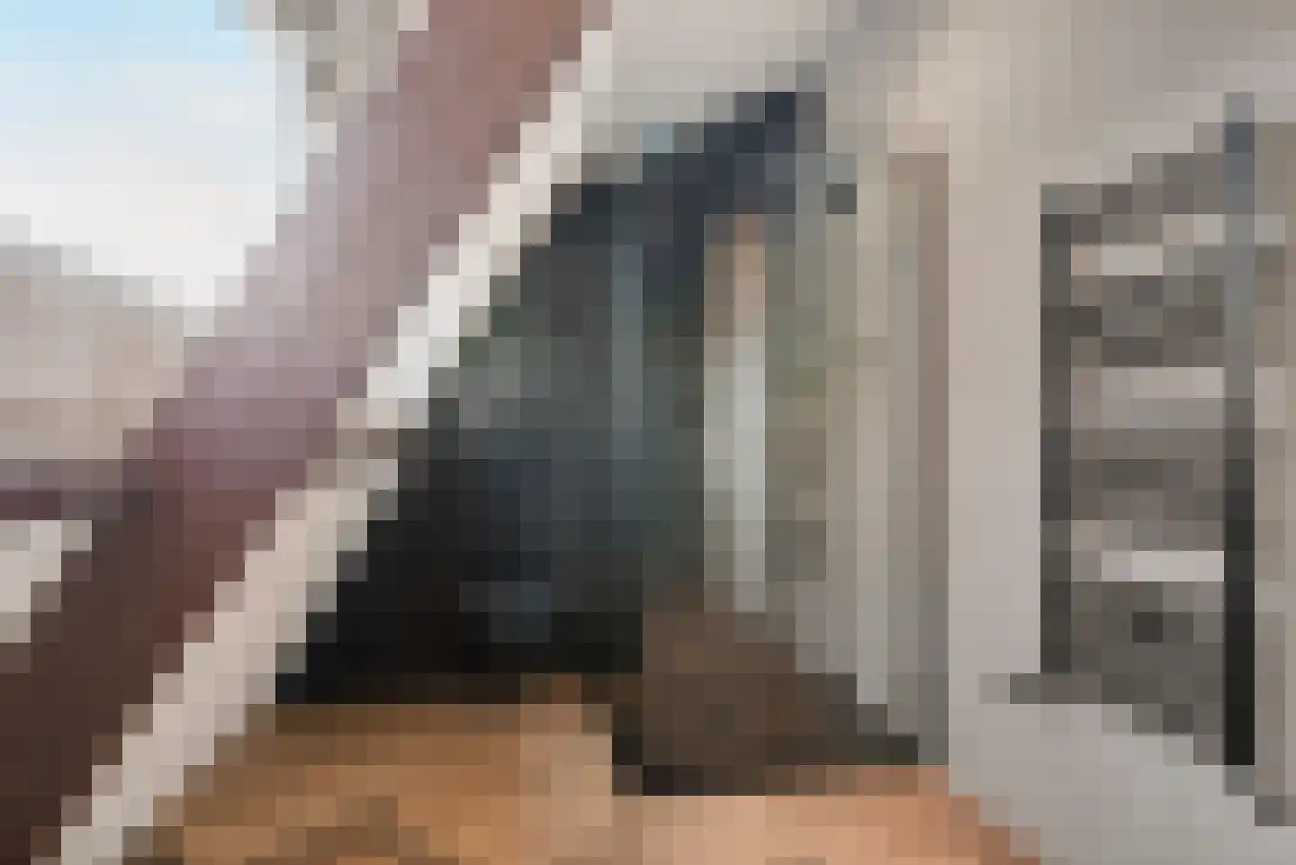 Rijksweg 126 Limmen thumbnail 48