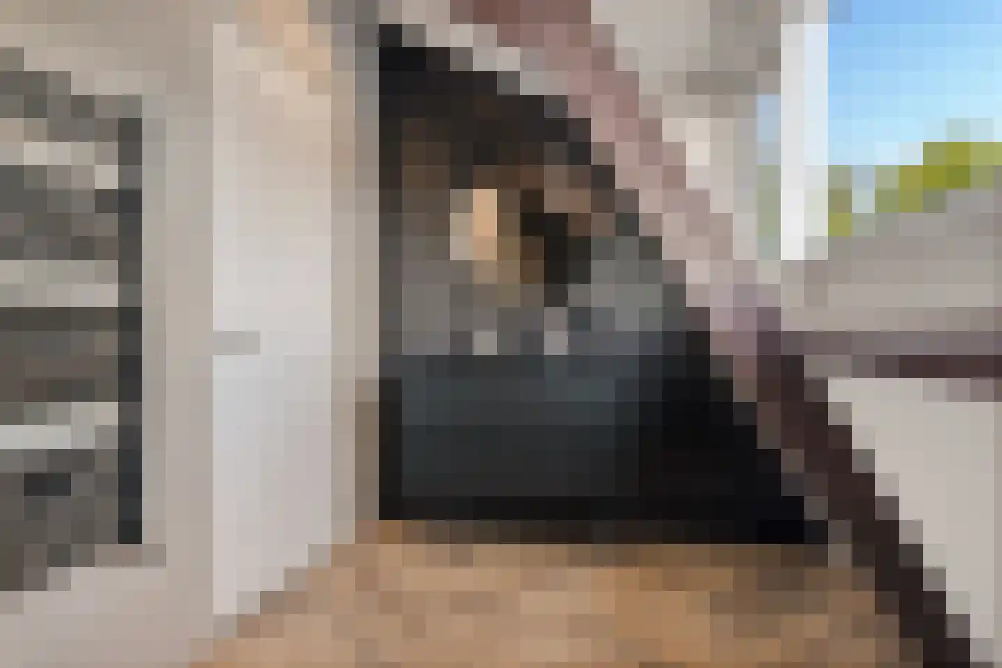 Rijksweg 126 Limmen thumbnail 49