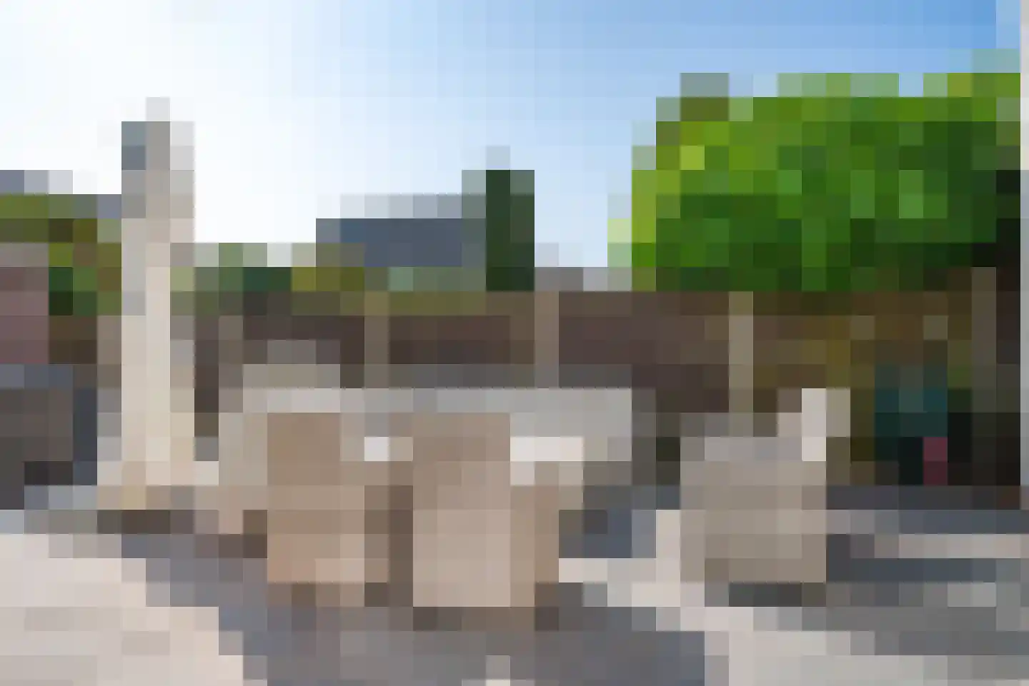 Rijksweg 126 Limmen thumbnail 57