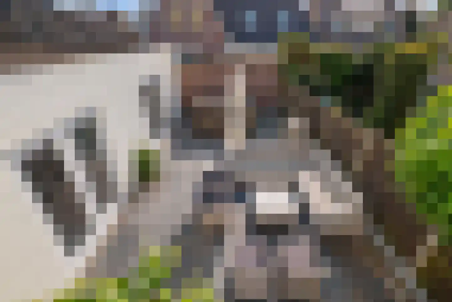 Rijksweg 126 Limmen thumbnail 8