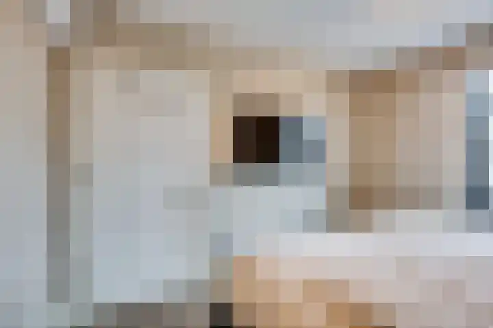 Rijksweg 129 Velden thumbnail 11