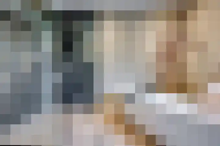 Rijksweg 129 Velden thumbnail 20