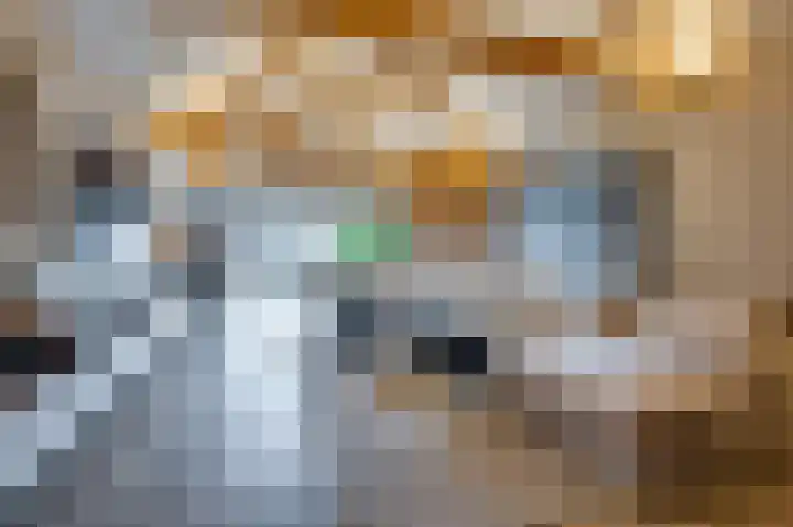 Rijksweg 129 Velden thumbnail 24
