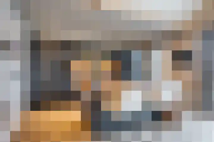 Rijksweg 129 Velden thumbnail 30
