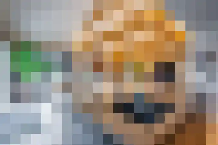 Rijksweg 129 Velden thumbnail 33