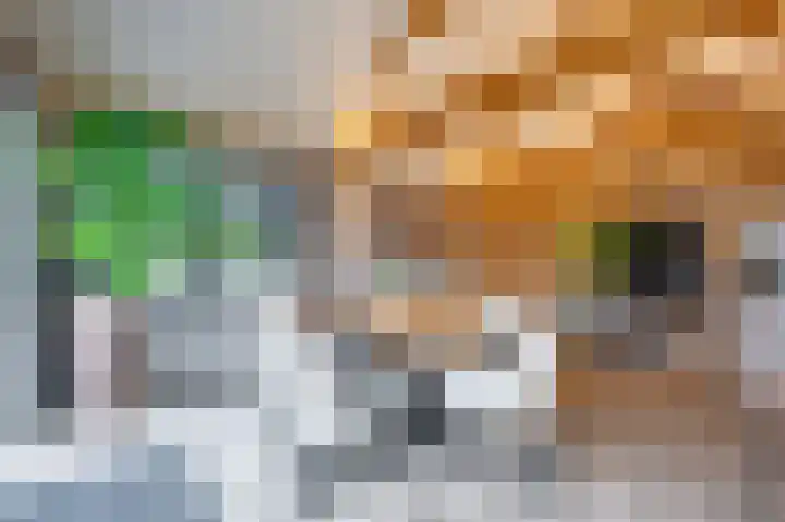 Rijksweg 129 Velden thumbnail 36