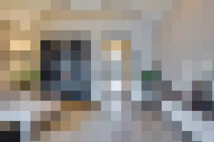 Rijksweg 129 Velden thumbnail 41