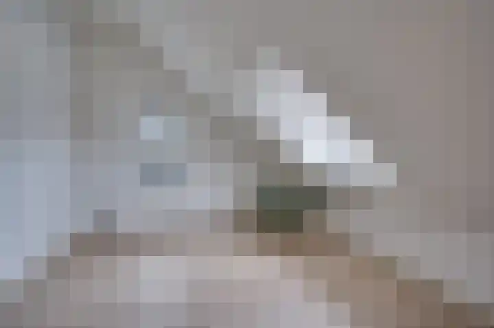 Rijksweg 129 Velden thumbnail 47