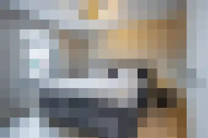 Rijksweg 129 Velden thumbnail 7
