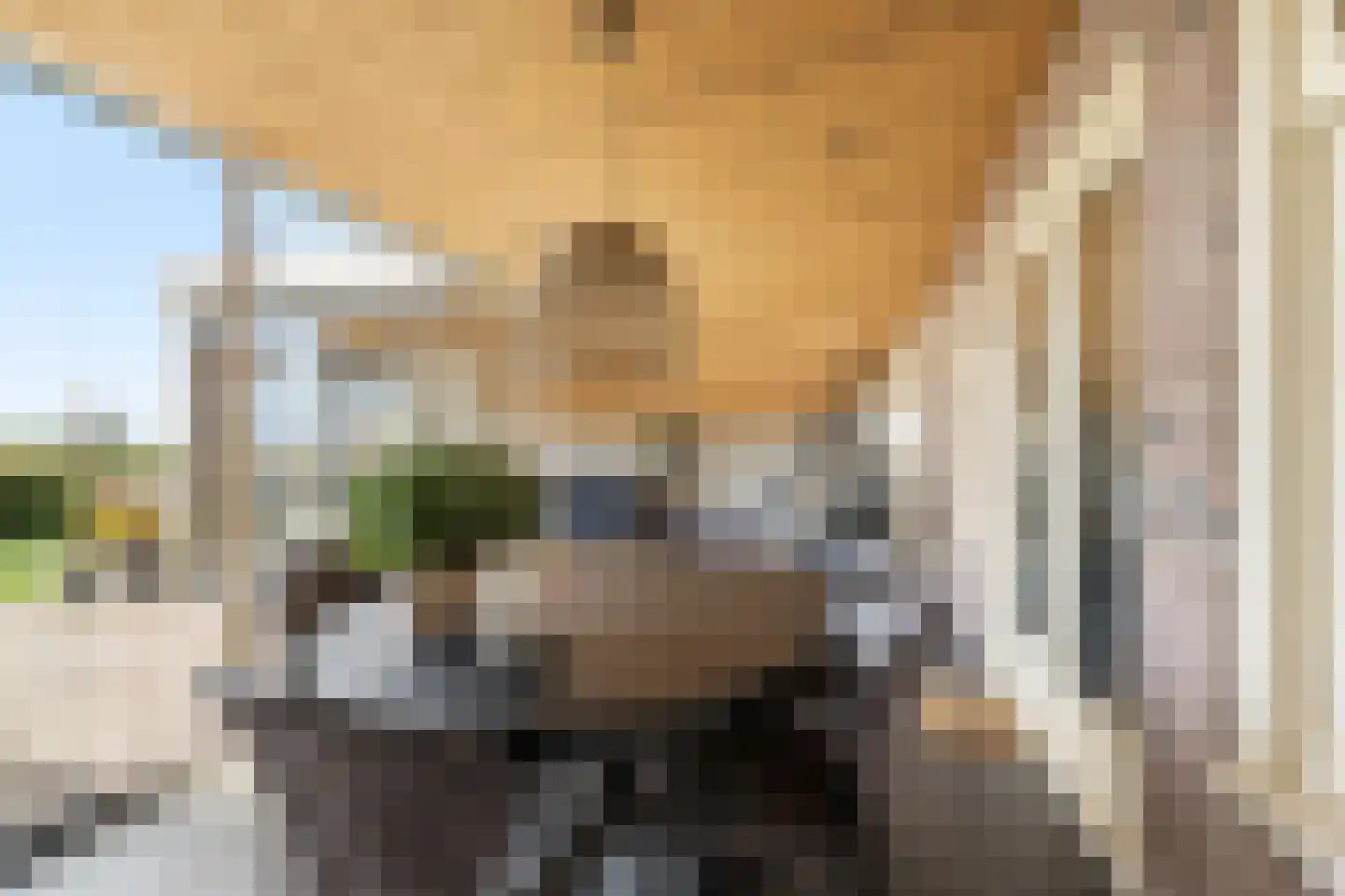 Rijksweg 13 Burgerbrug thumbnail 16