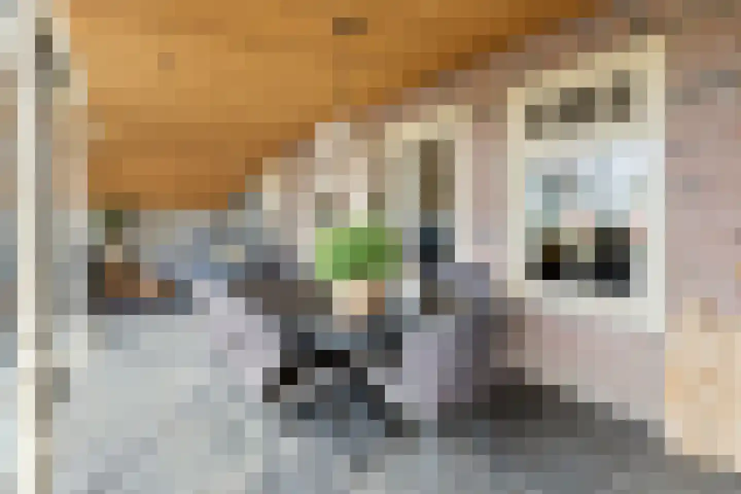 Rijksweg 13 Burgerbrug thumbnail 17