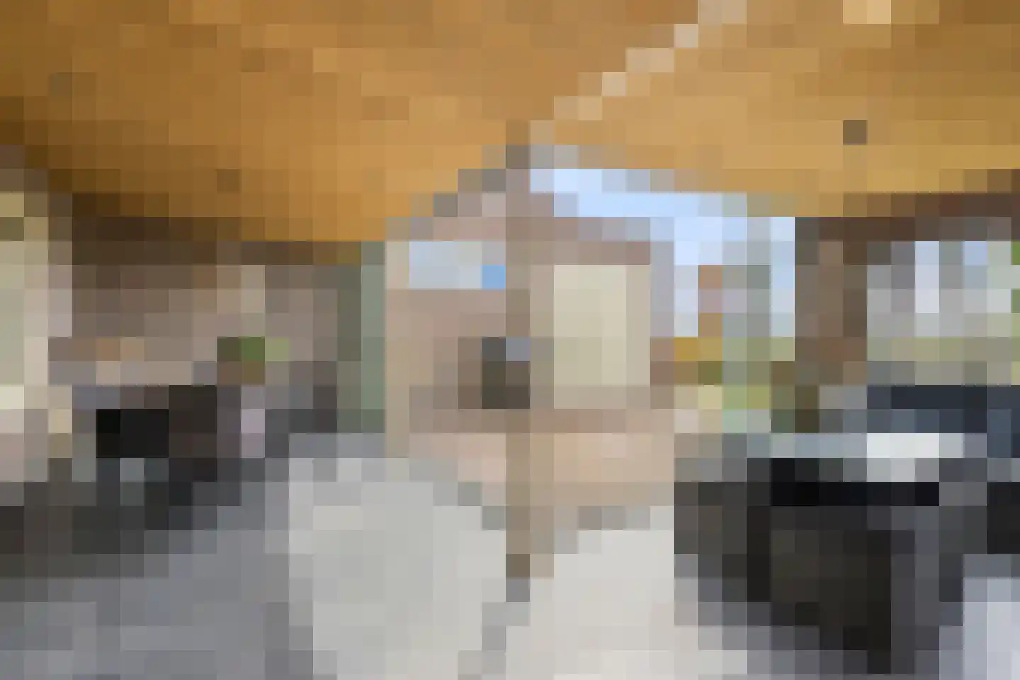 Rijksweg 13 Burgerbrug thumbnail 19