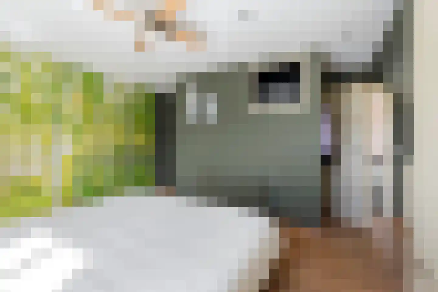 Rijksweg 13 Burgerbrug thumbnail 27