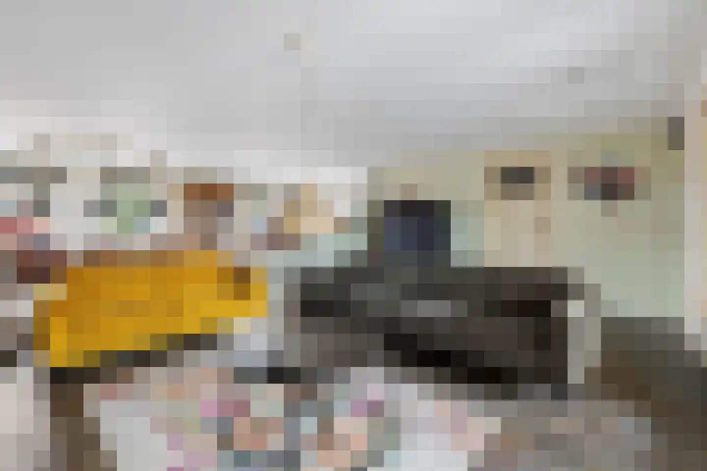Rijksweg 13 Burgerbrug thumbnail 5