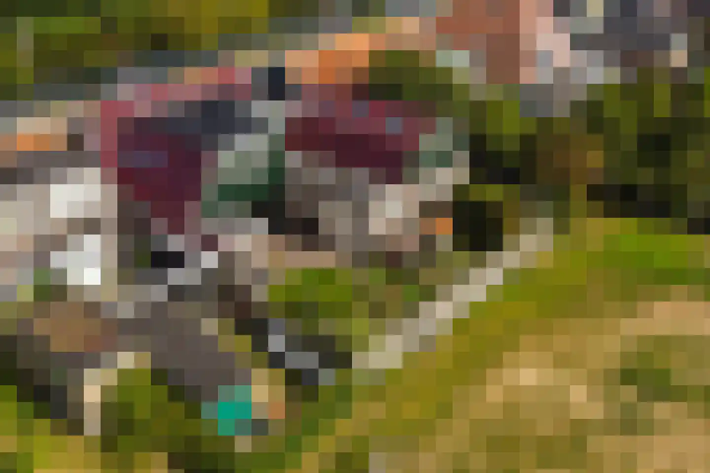 Rijksweg 13 Burgerbrug thumbnail 57