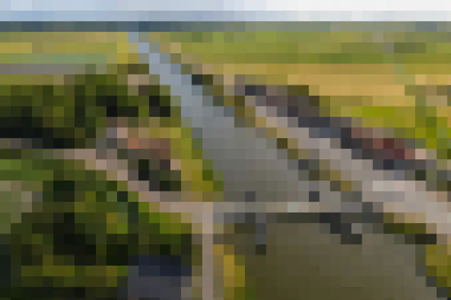 Rijksweg 13 Burgerbrug thumbnail 59