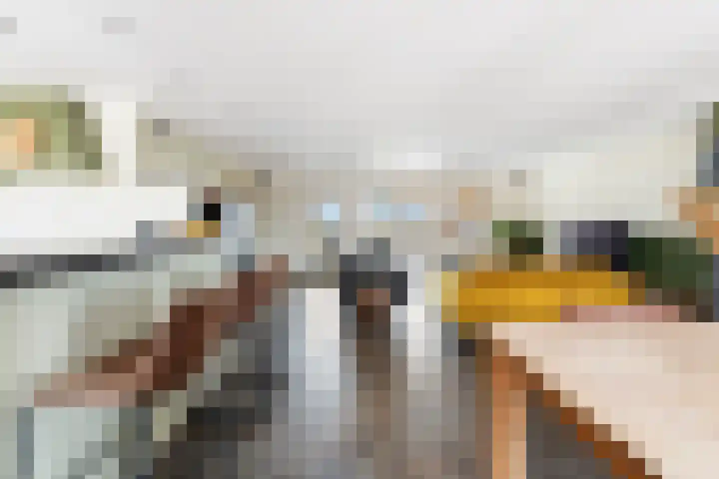 Rijksweg 13 Burgerbrug thumbnail 8