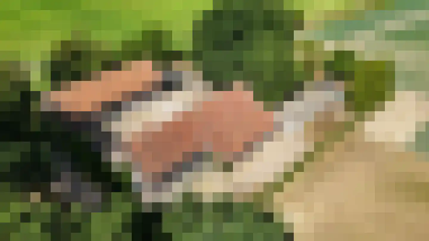 Rijksweg 13 Kessel