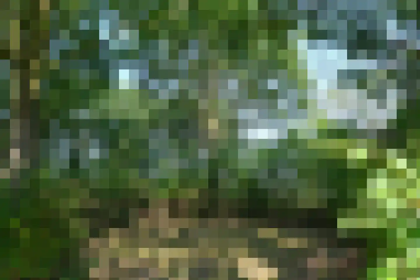 Rijksweg 13 Kessel thumbnail 42