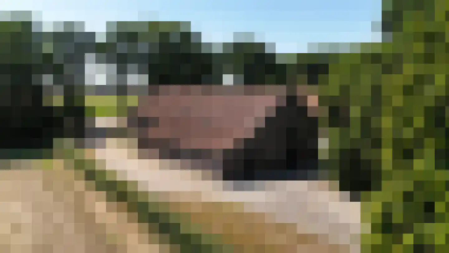 Rijksweg 13 Kessel thumbnail 44