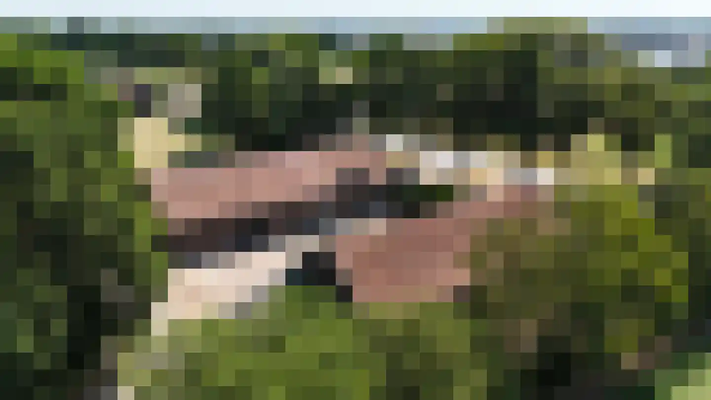 Rijksweg 13 Kessel thumbnail 48
