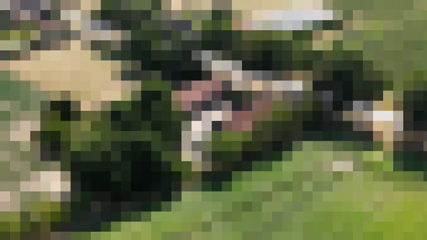 Rijksweg 13 Kessel thumbnail 49