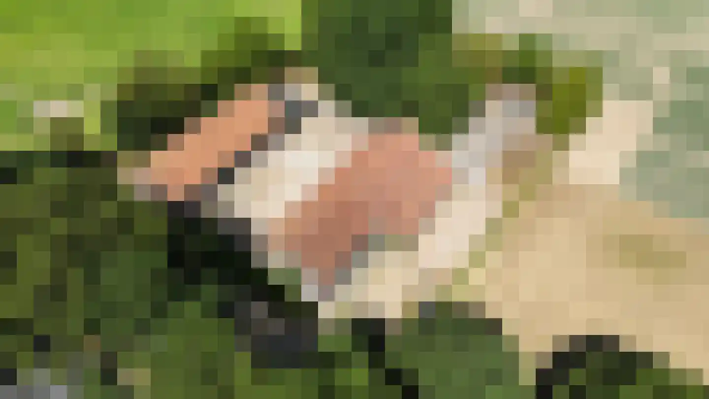 Rijksweg 13 Kessel thumbnail 52