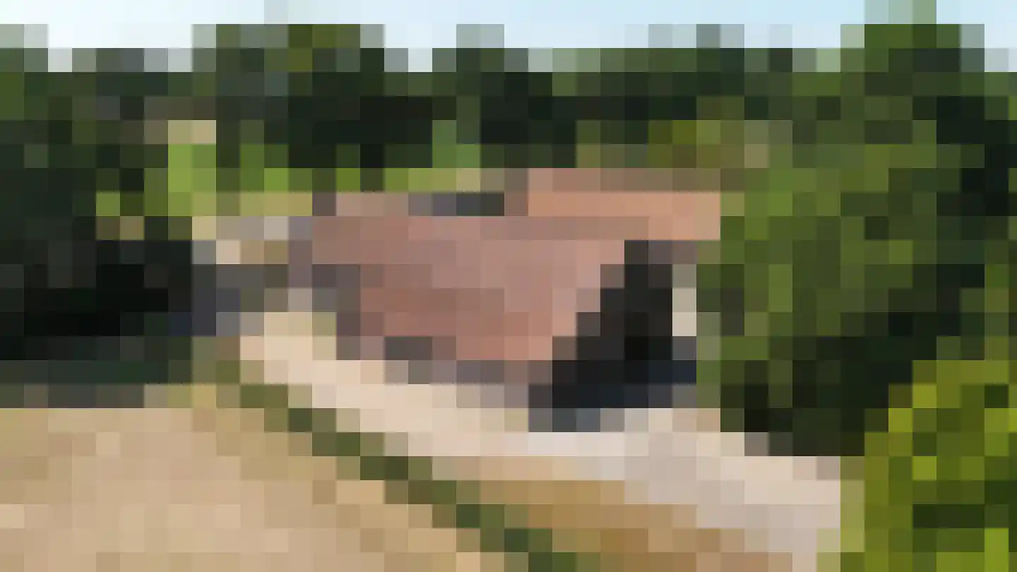Rijksweg 13 Kessel thumbnail 53