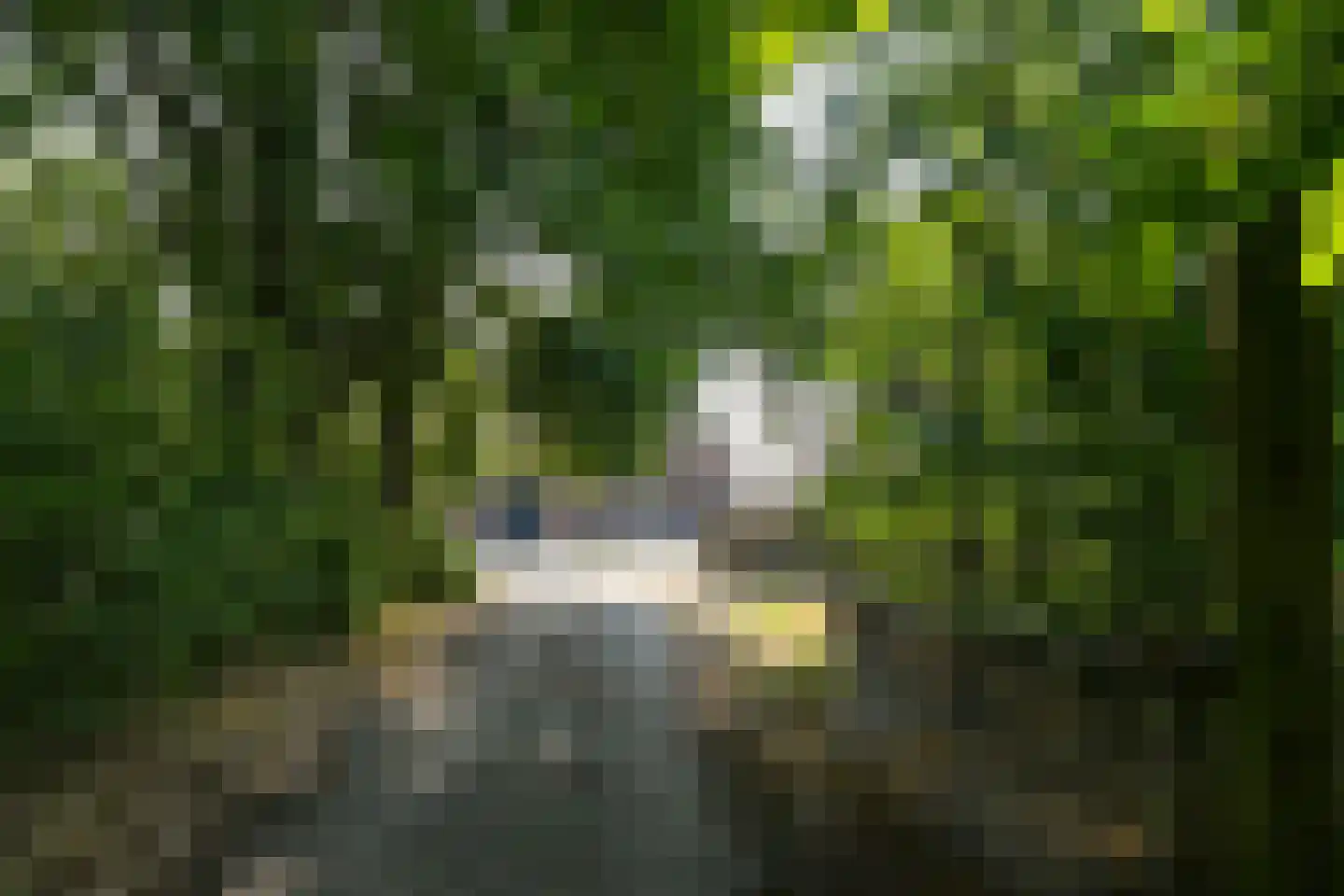 Rijksweg 13 Kessel thumbnail 7