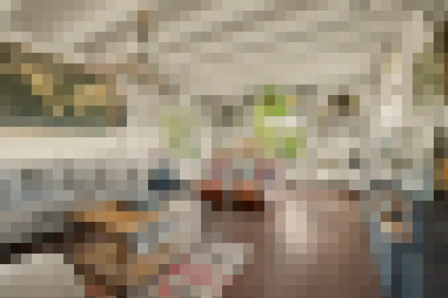Rijksweg 13 Nieuwerkerk thumbnail 11