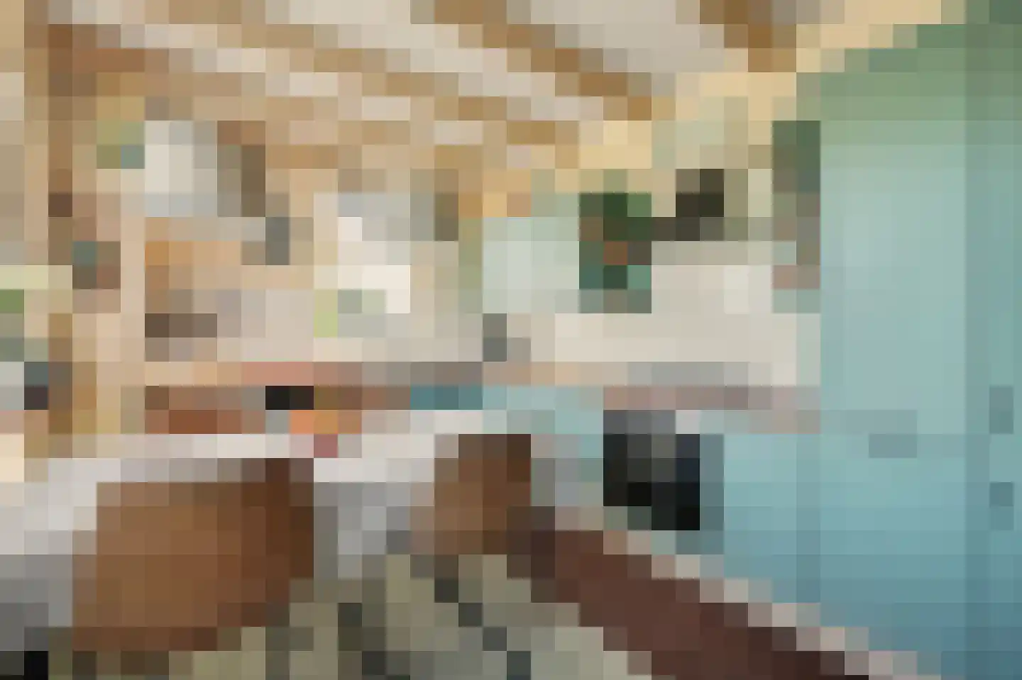Rijksweg 13 Nieuwerkerk thumbnail 21